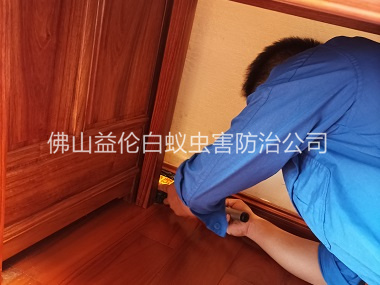 祖庙木质家具白蚁防治工程