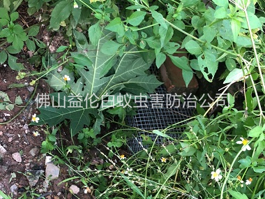 南庄住宅区处理蛇患工程
