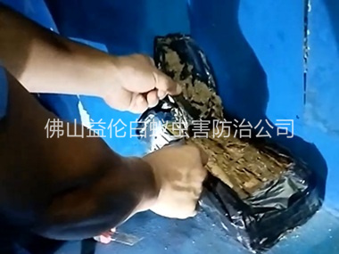 南庄白蚁侵害防治工程